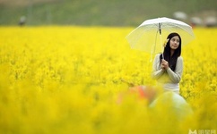 断喉弩全集在线观看